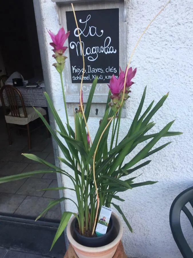 La Magnolia Apartment Ricco del Golfo di Spezia